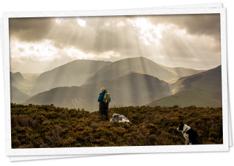 Kestrel Lodge is a peaceful and relaxed, dog-friendly cottage in a picturesque setting, nestled between the quiet shores of Bassenthwaite Lake and the beautiful Cumbrian fells.